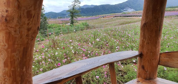 秋天的风景图片下载