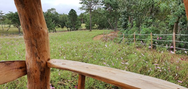 秋天的风景图片下载