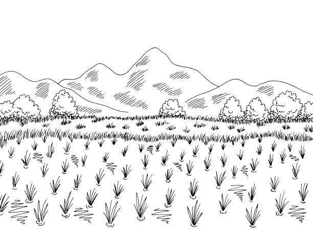 稻田图形黑白景观素描插图矢量图片下载
