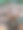 竹笋蘑菇生长在覆盖着褐色山毛榉树叶的森林地面上图片下载