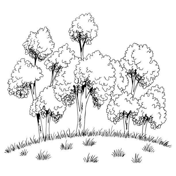 山丘上的树林，树木，森林图形，黑白草图，插图向量图片下载