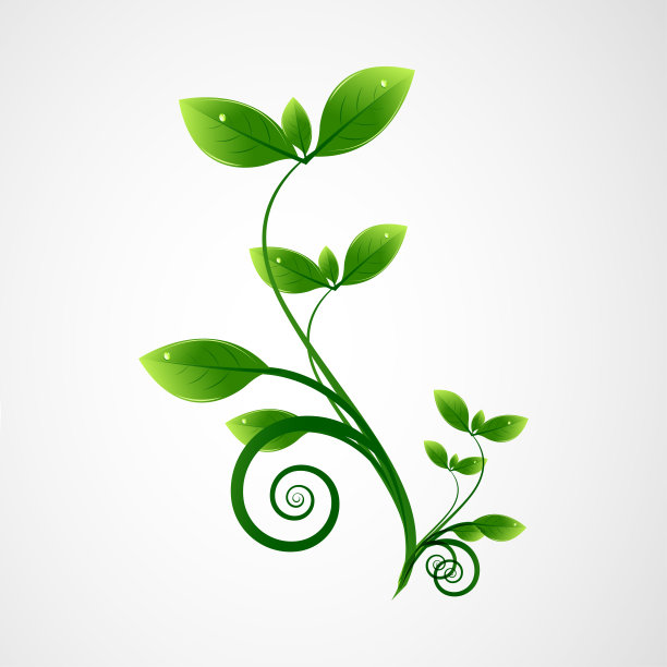 绿色生长植物叶片图片下载