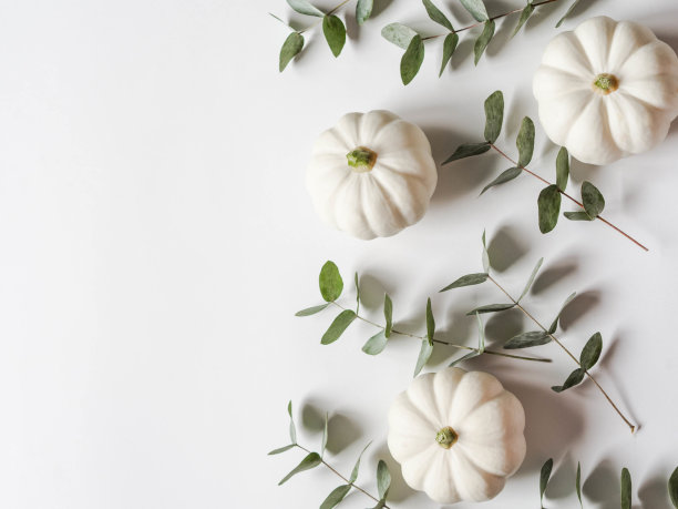 用白色背景上的南瓜和桉树组成的秋季花。本空间图片下载