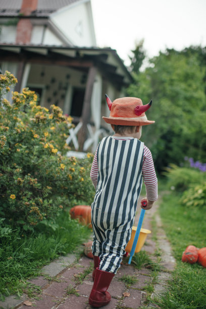可爱的男孩在秋天万圣节的南瓜图片下载