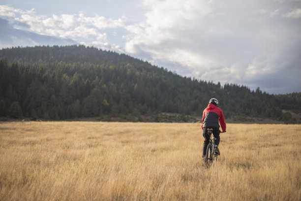 骑自行车穿过田野图片下载