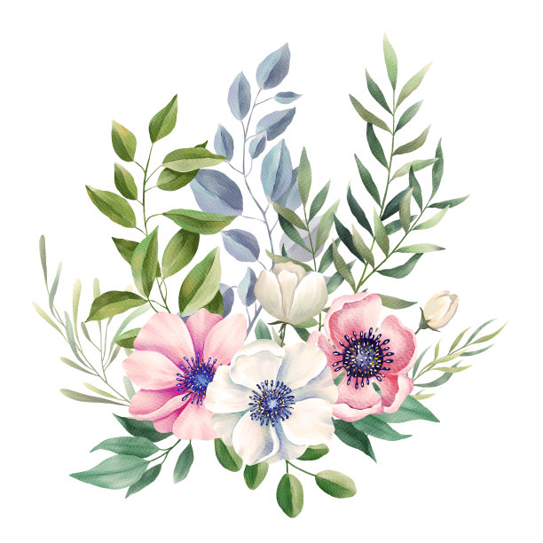 水彩花束。花、叶、枝孤立图片下载
