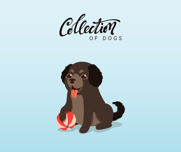 可爱的狗，拉布拉多和寻回犬。扁平动物卡通人物图片下载