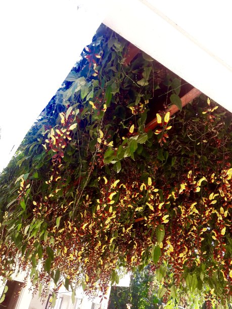 几何性质图片下载