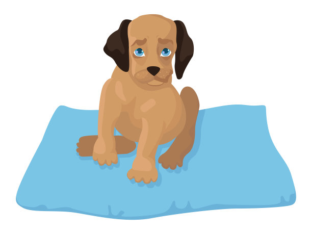 带病狗坐在地毯上图片下载