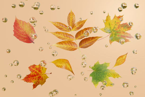 3D渲染秋天抽象艺术插图。一套明亮的秋叶黄、红、绿，雨点在橙色的背景上飞舞。移动的设计理念。图片下载