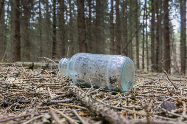 垃圾在森林里。扔在森林里的玻璃瓶。图片下载