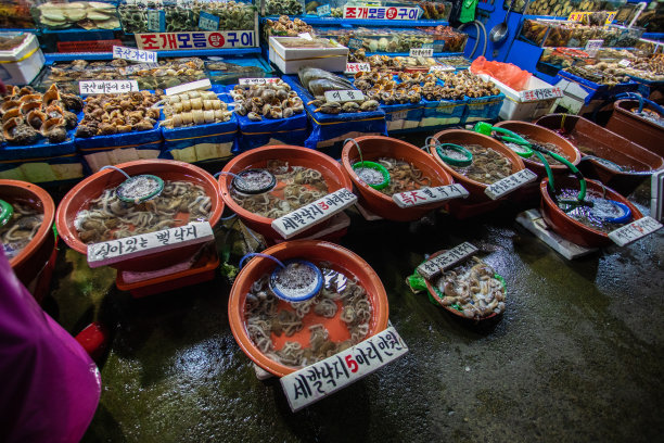 首尔市场的洗脸盆里漂浮着新鲜的海鲜图片下载