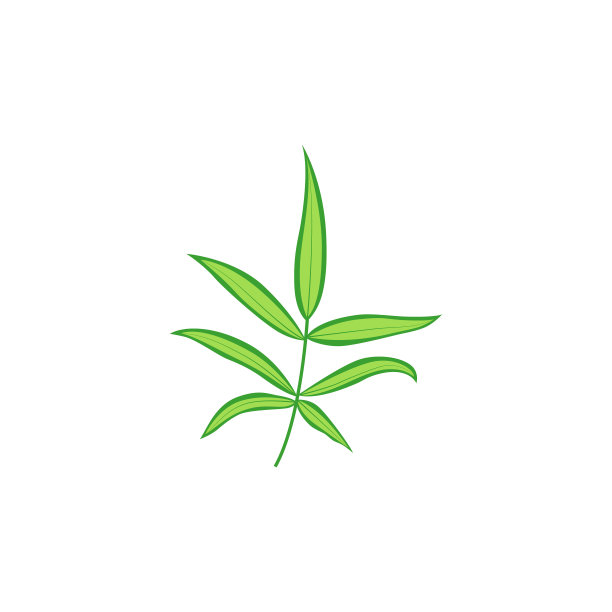 矢量插图。白色背景上的热带叶子。图片下载