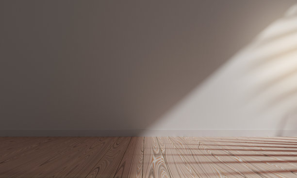 3d渲染空地板木材和白色背景图片下载