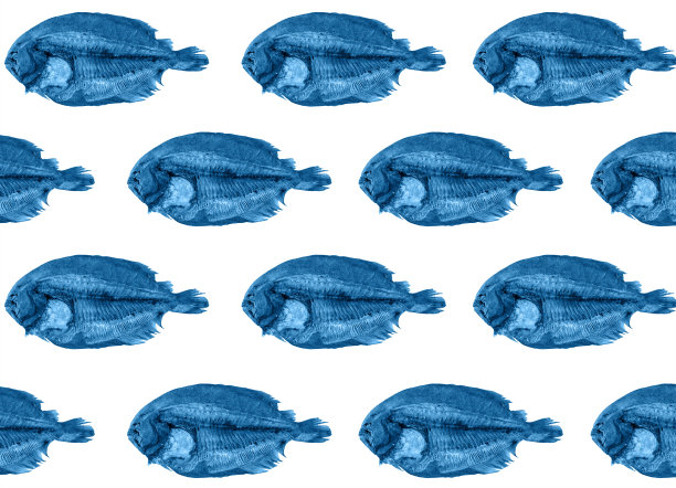 白色背景上的蓝白鱼干，重复的背景图片下载