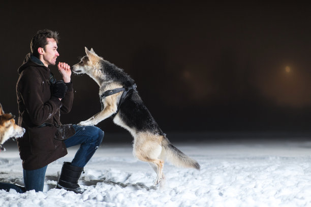 在冬天的夜晚，一个男人和一只混血狗在外面的侧视图图片下载