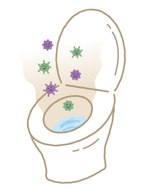 开着的马桶盖会因为冲水而导致细菌扩散。卫生和保健概念说明图片下载