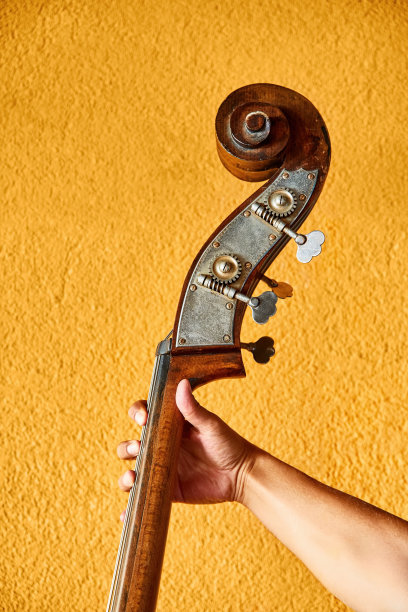 一个男性爵士音乐家手持低音提琴的手图片下载