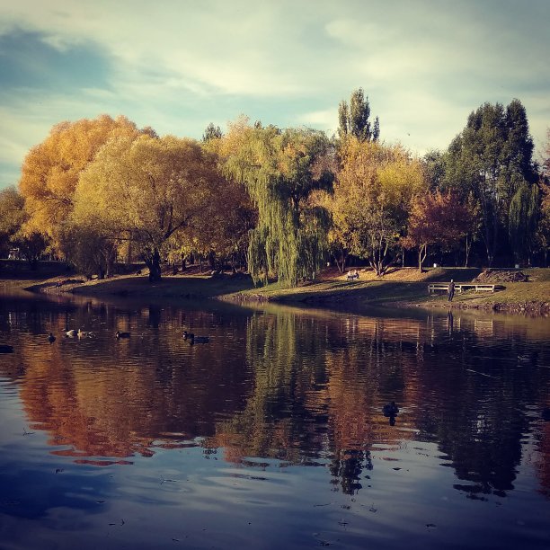 秋天的风景图片下载
