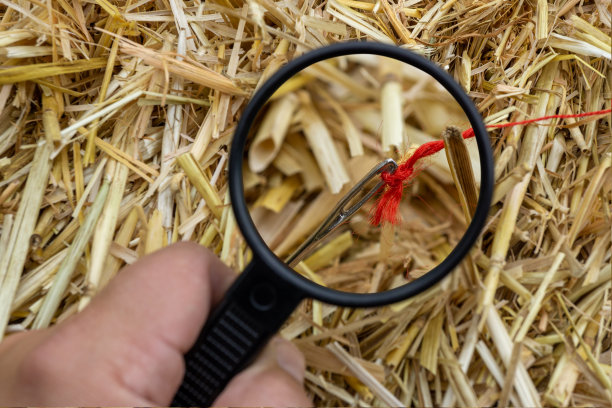 在稻草里找针图片下载