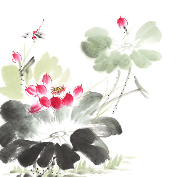 荷花和蜻蜓手绘水墨，中国水彩画图片下载