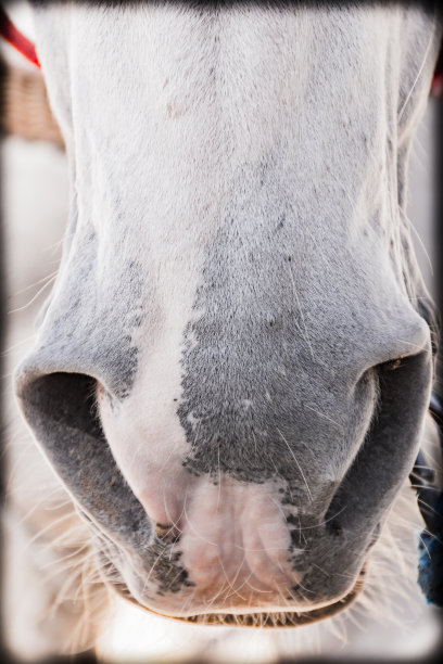 正中下怀图片下载