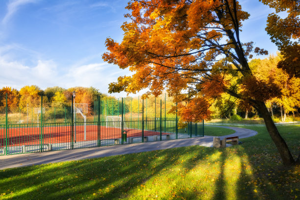 公园内的运动场地秋景图片下载
