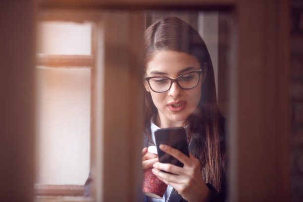 后视图的女人与手机在商务会议图片下载