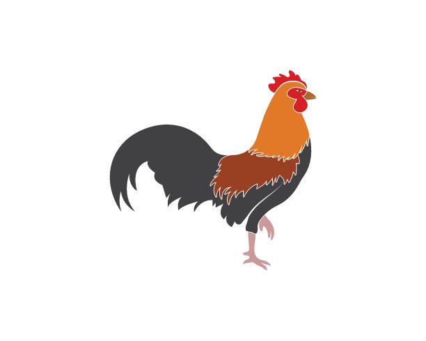 公鸡标志矢量插图模板图片下载