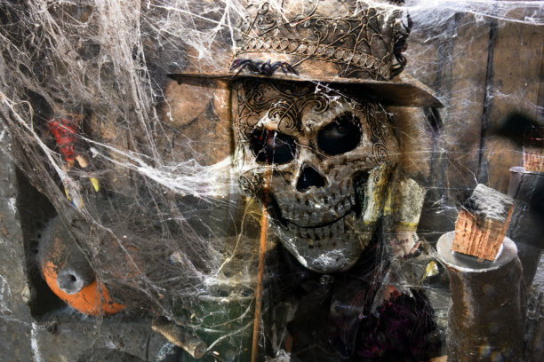 3d，被蜘蛛网困住的头骨图片下载