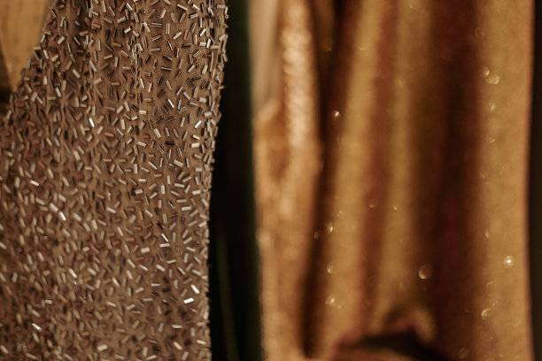 华丽的晚装面料图片下载