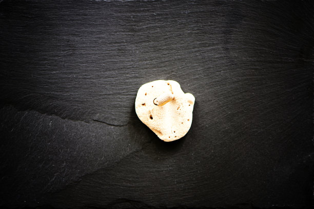 白色珊瑚在黑色的石头背景。图片下载