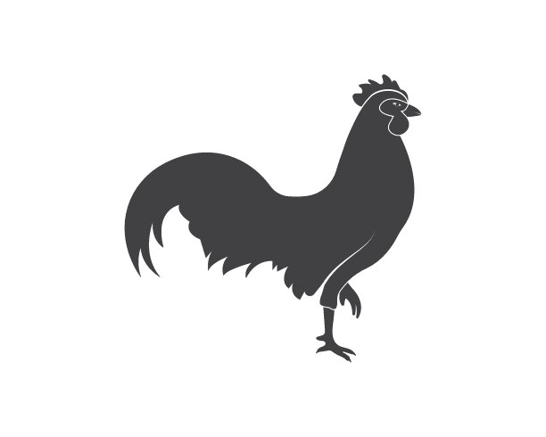 公鸡标志矢量插图模板图片下载