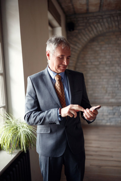 后视图的女人与手机在商务会议图片下载
