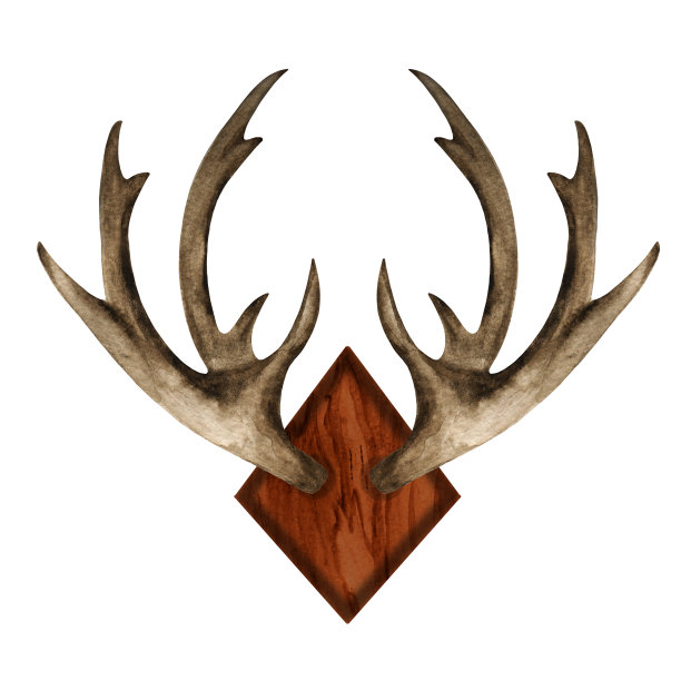 木板上的水彩鹿角图片下载