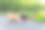 两只愚蠢的杂种狗在池塘前的草地上打架。图片下载
