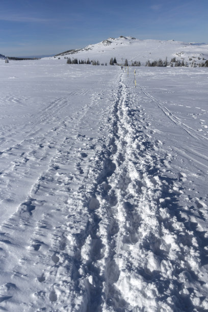 冬季的维托沙山，索非亚城市地区，保加利亚图片下载