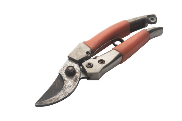 修剪剪在白色的背景图片下载