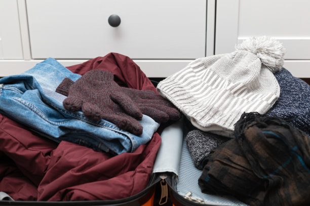 旅行、手提箱、公寓图片下载