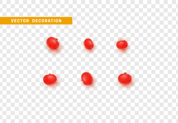 在透明的背景下分离的蔓越莓浆果图片下载