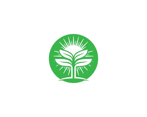 叶子符号矢量图标图片下载