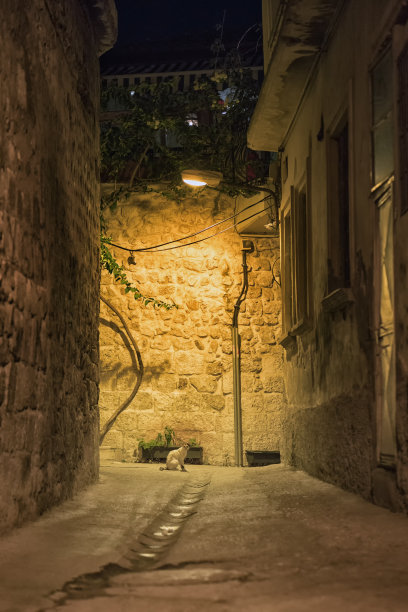 一只猫独自走在老安提俄克的街道上图片下载