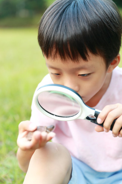 男孩龟图片下载