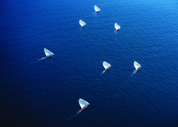 七个白色图片下载