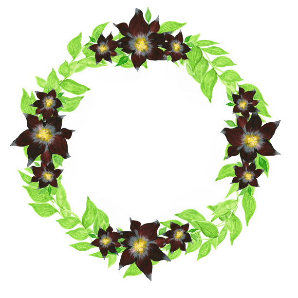 圣诞花环与红色的花，圆形框架与绿色的叶子和红色的花孤立在白色的背景图片下载