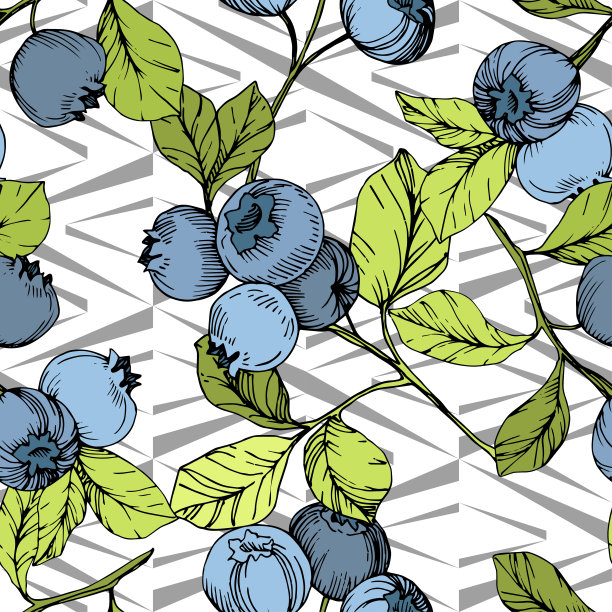 矢量蓝莓绿和蓝色雕刻水墨艺术。浆果和绿叶。无缝的背景图案。图片下载