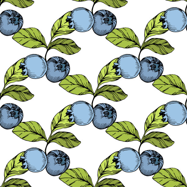 矢量蓝莓绿和蓝色雕刻水墨艺术。浆果和绿叶。无缝的背景图案。图片下载