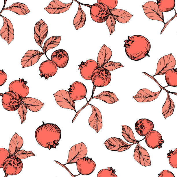 矢量蓝莓黑和珊瑚雕刻水墨艺术。浆果和树叶。无缝的背景图案。图片下载