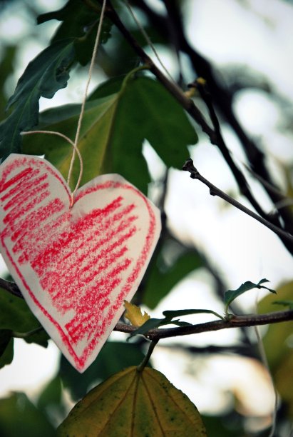 弦上的心图片下载