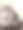 一个可爱的灰色虎斑猫的特写图片下载